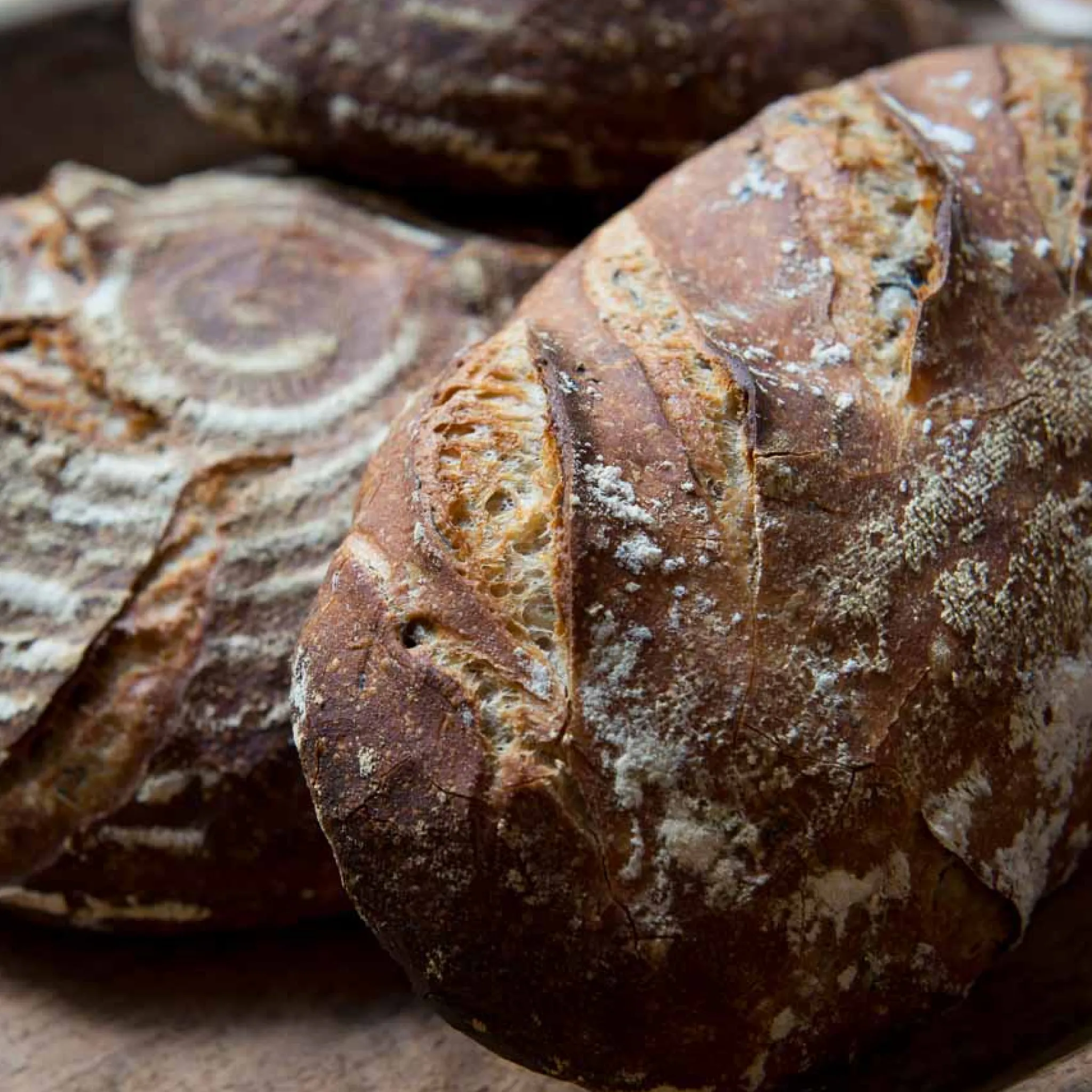 Mure Peyrot Bordelaise Lame - Bread Scoring Blade Hot