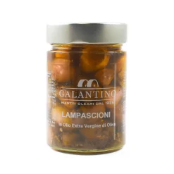 Galantino Lampascioni in Extra Virgin Olive Oil, 320g Online