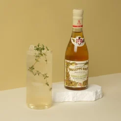 Giuseppe Giusti Giusti Sweet and Sour Ginger Condiment, 250ml Sale