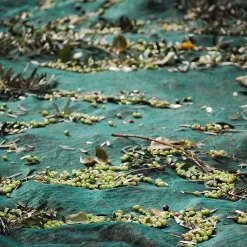 Honest Toil Extra Virgin Greek Olive Oil, 500ml Best