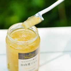 and Japanese Stainless Steel Jam Spoon, 16cm Online