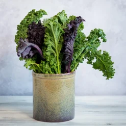 Ceramica Nicola Lagoa Kitchen Utensils Jar Discount