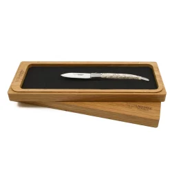 Laguiole en Aubrac Oyster Knife, Oyster Shell Handle Online