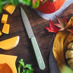 Opinel No 112 Sage Beechwood Handle Paring Knife, 10cm Sale