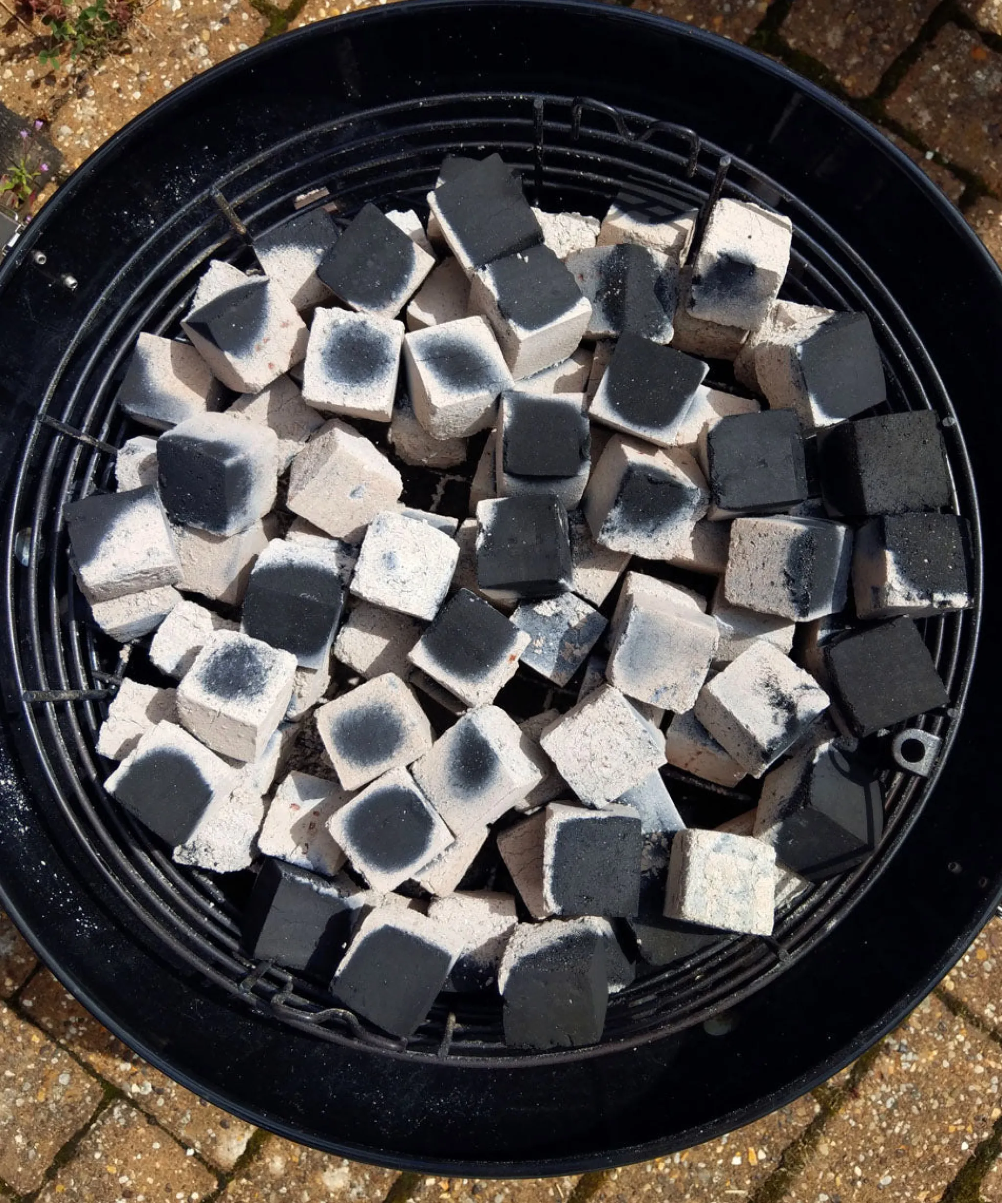 ProQ Cocoshell Briquettes, 10kg Sale