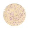 Puglia Handmade Puglia Lilac Splatter Dinner Plate, 27cm Clearance