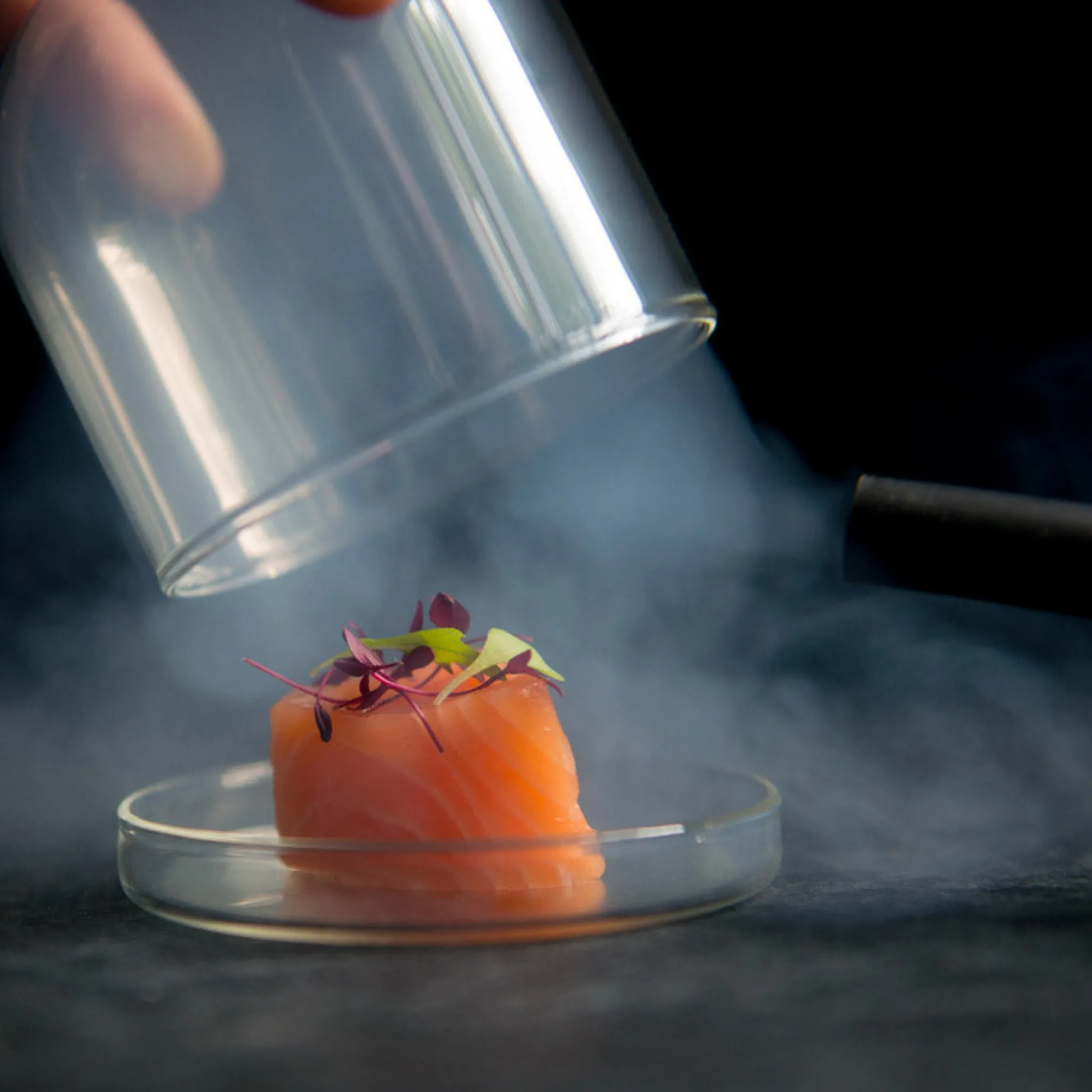 Sage Smoking Gun Outlet