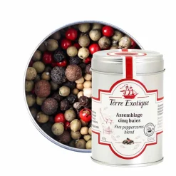 Terre Exotique Five Peppercorns Blend, 60g Hot