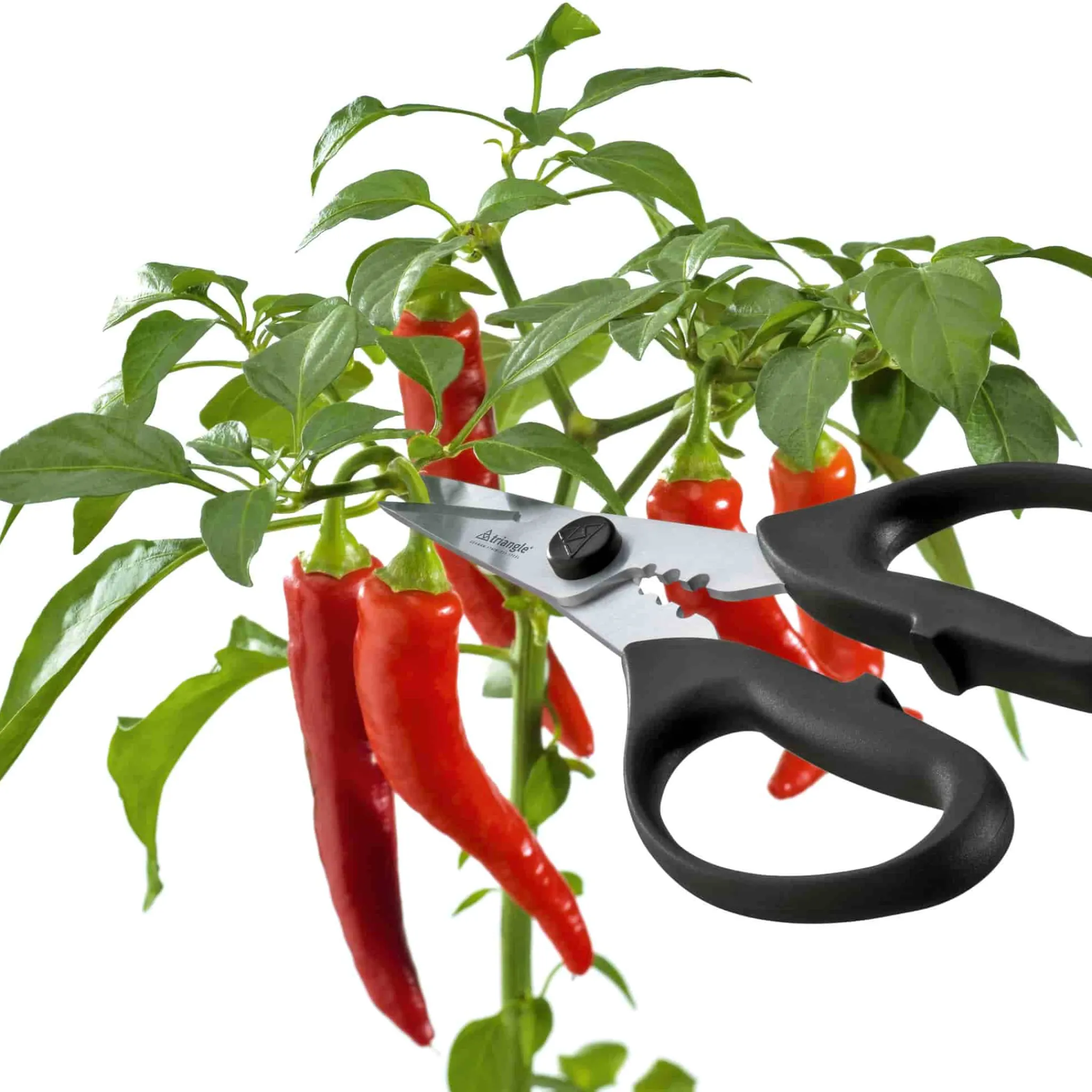 Triangle Take Apart Kitchen & Herb Scissors Discount