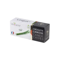 Veritable Asian Lingot Insert, Organic Chinese Chives Outlet