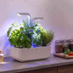 Veritable Classic Indoor Herb Garden Outlet